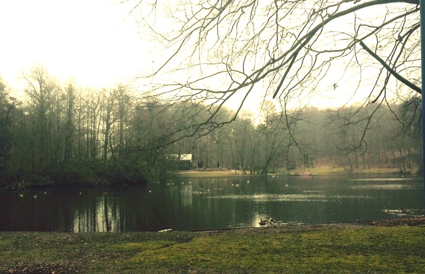 ‘Wildplukken’ in Sonsbeekpark Arnhem